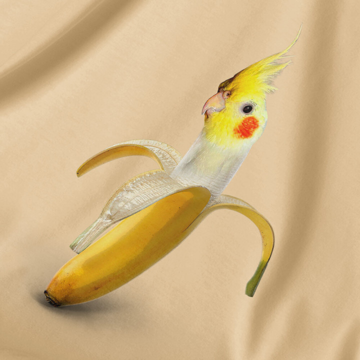 Tričko Klarisa Elvis Sand