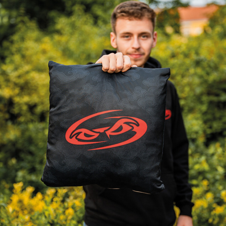 Polštář Hejlovec: Dračí ninja