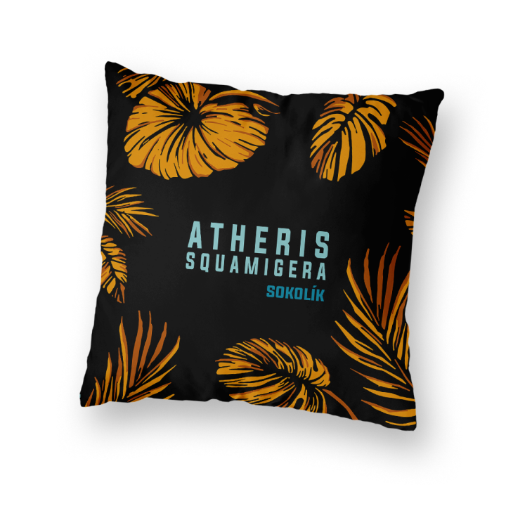Polštář Sokolik Atheris Squamigera