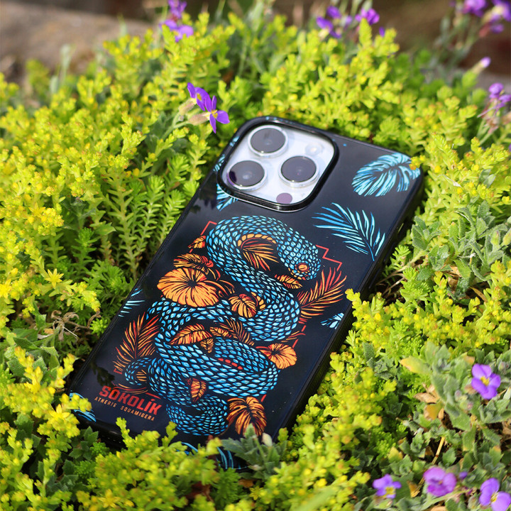 Kryt Sokolik Atheris Squamigera