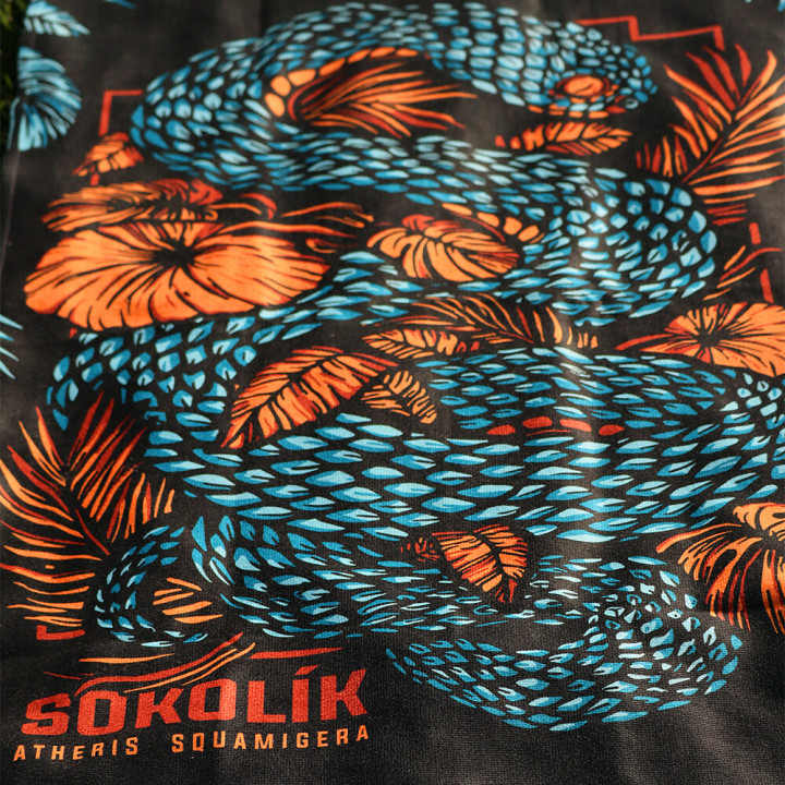 Osuška Sokolík Atheris Squamigera