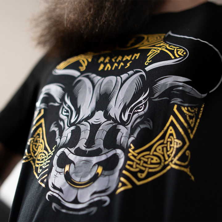 Tričko ARCADEBULLS Level 10 |