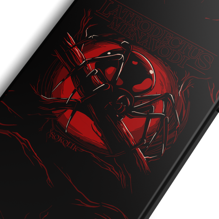 Kryt Sokolík Latrodectus Menavodi